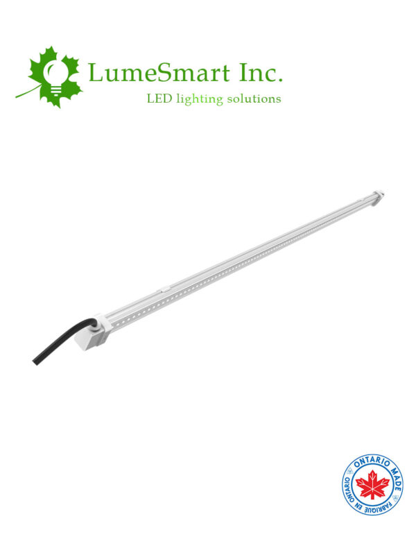 Horticulture HL11-Horti-Green-Featured-Image