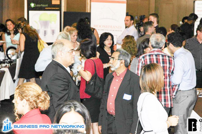 Business-Pro-Networking-2014