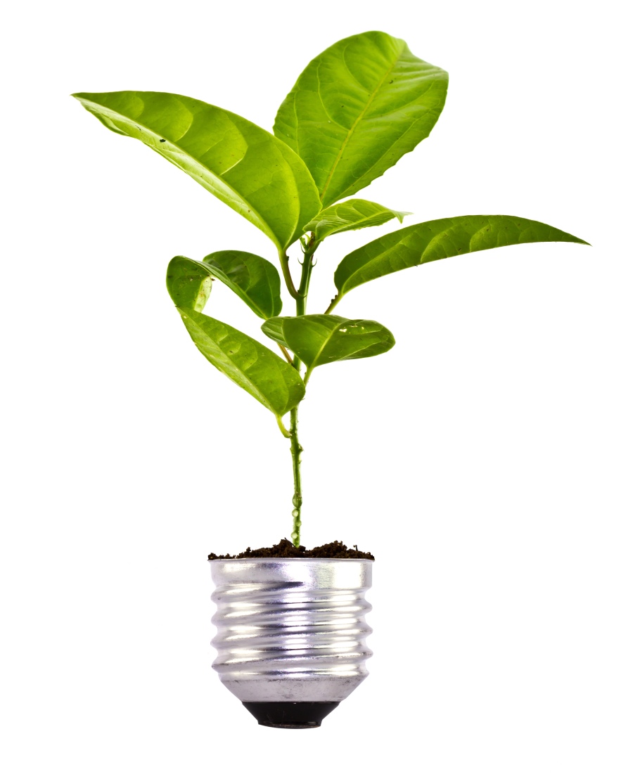 Lumesmart LED Lighting Solutions for a Sustainable Future