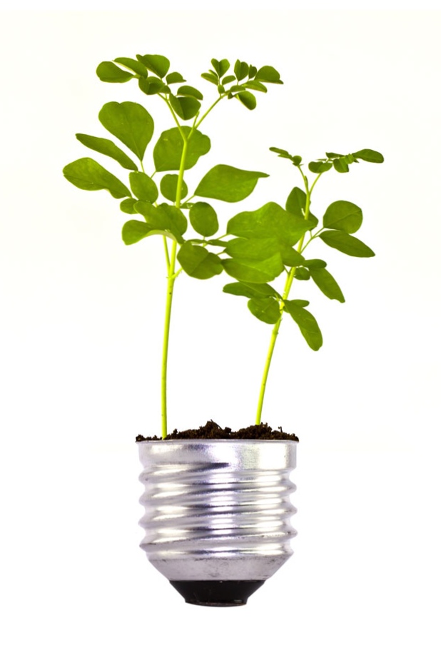 Our Mission is by Innovative LED Lighting Solutions in Aritech to increase the safety of the food while saving energy and environment